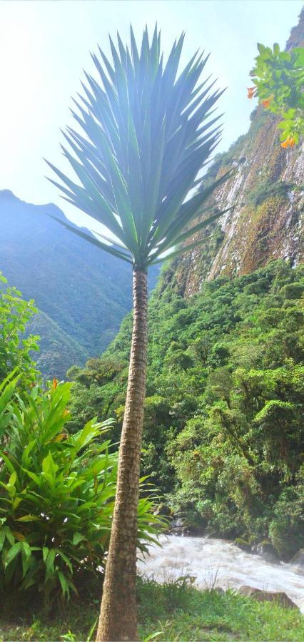 Machupicchu Guest House 2*